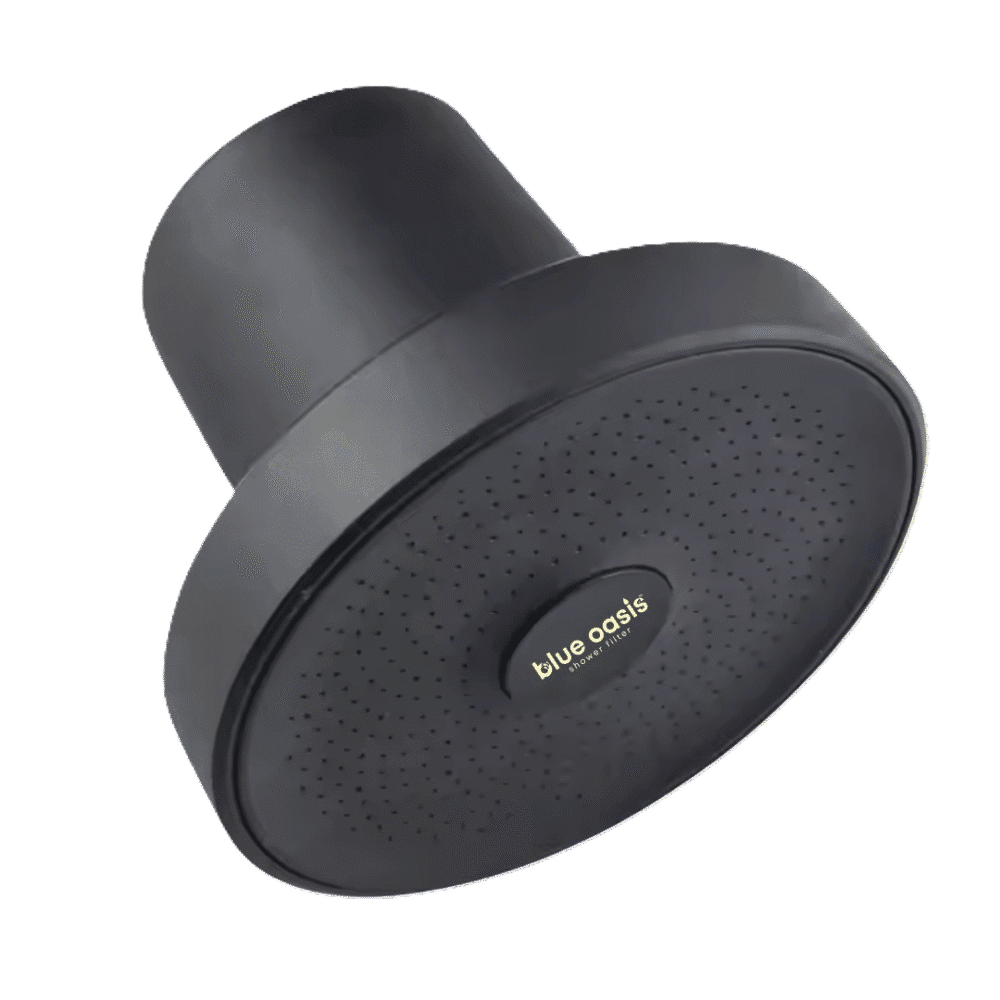 Rain Shower Head & Filter