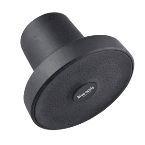 Rain Shower Head & Filter