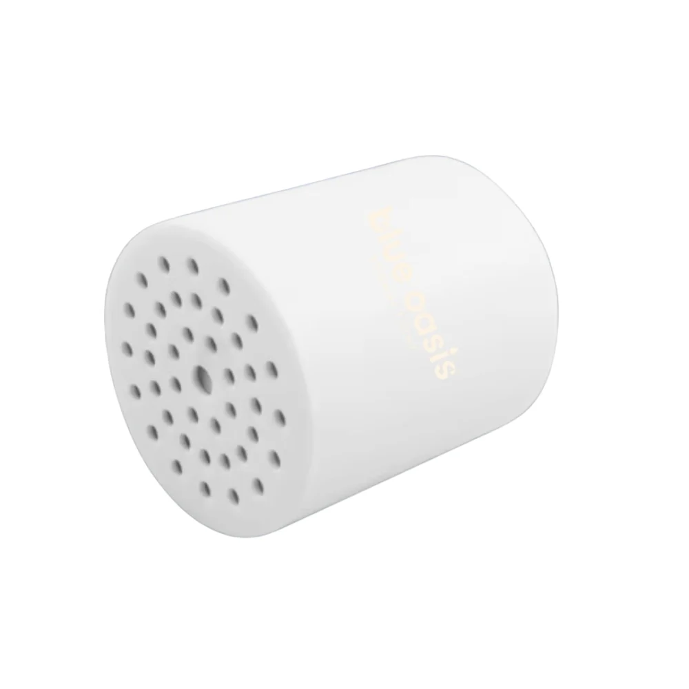 Rain Shower Head & Filter - Image 3