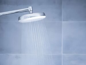 Blue Oasis Shower Filter