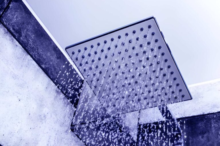 Blue Oasis Shower Filter Buying Guide for First-Time Buyers