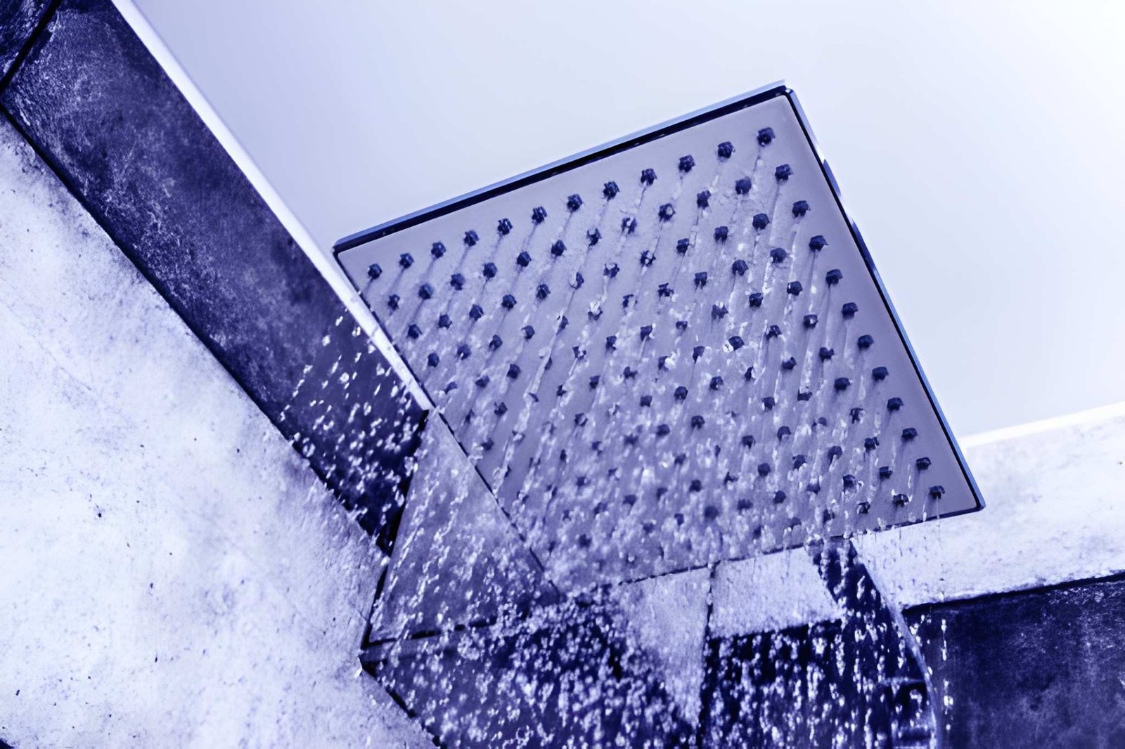 Blue Oasis Shower Filter